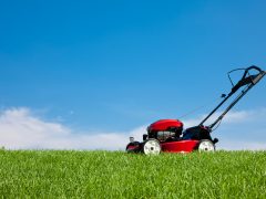 lawn mower services