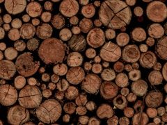 Properly stored firewood protected from weather
