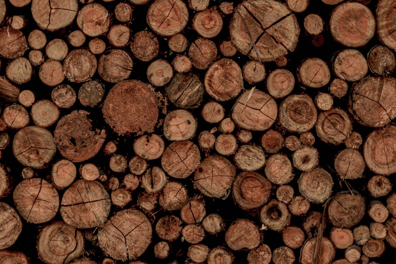 Properly stored firewood protected from weather